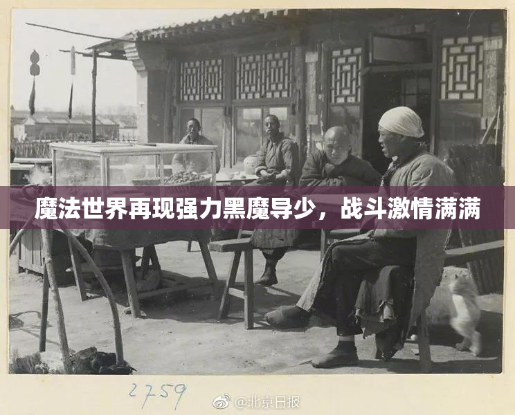 魔法世界再现强力黑魔导少，战斗激情满满