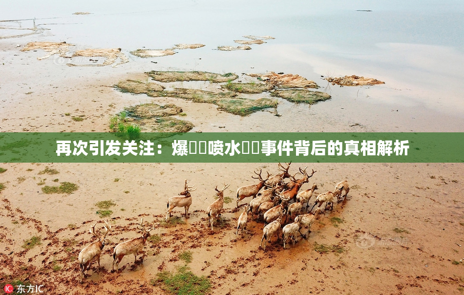 再次引发关注：爆❌‌喷水❌‌事件背后的真相解析