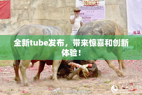 全新tube发布，带来惊喜和创新体验！