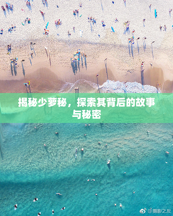揭秘少萝秘，探索其背后的故事与秘密