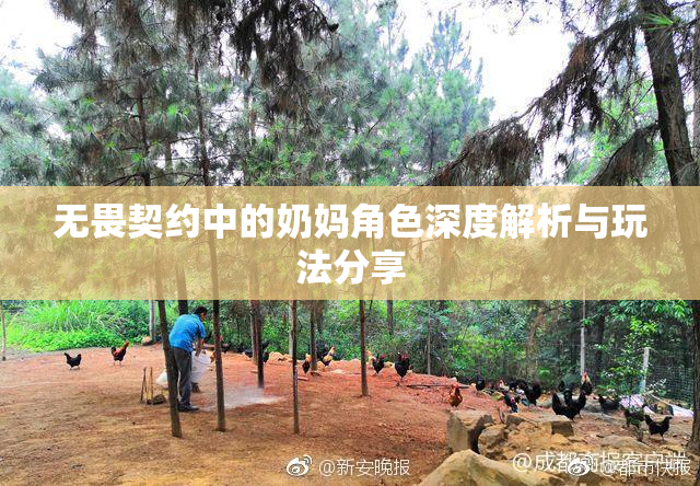 无畏契约中的奶妈角色深度解析与玩法分享