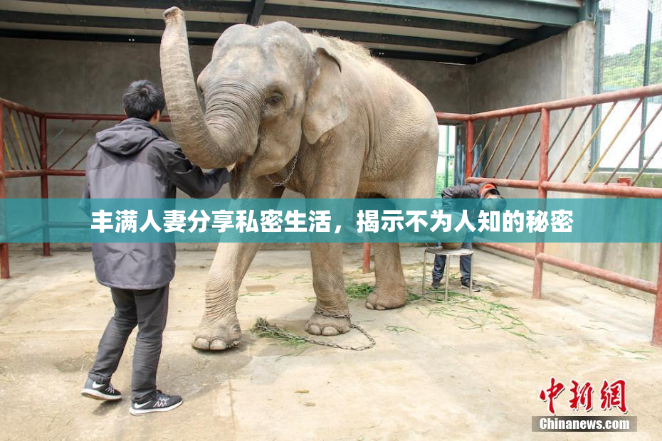 丰满人妻分享私密生活，揭示不为人知的秘密