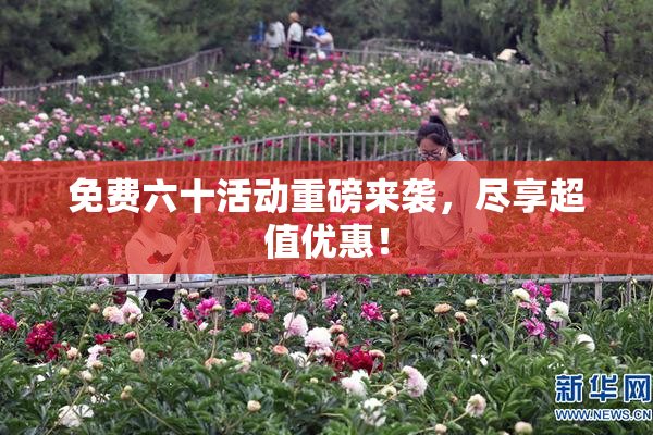 免费六十活动重磅来袭，尽享超值优惠！