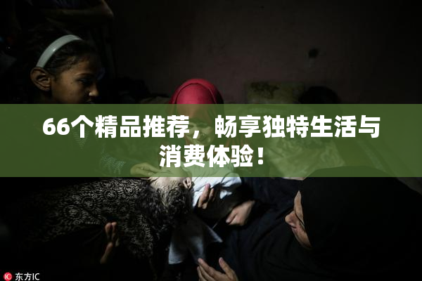 66个精品推荐，畅享独特生活与消费体验！