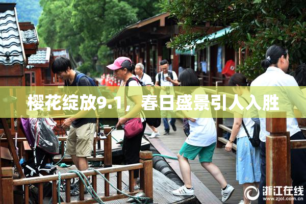 樱花绽放9.1，春日盛景引人入胜