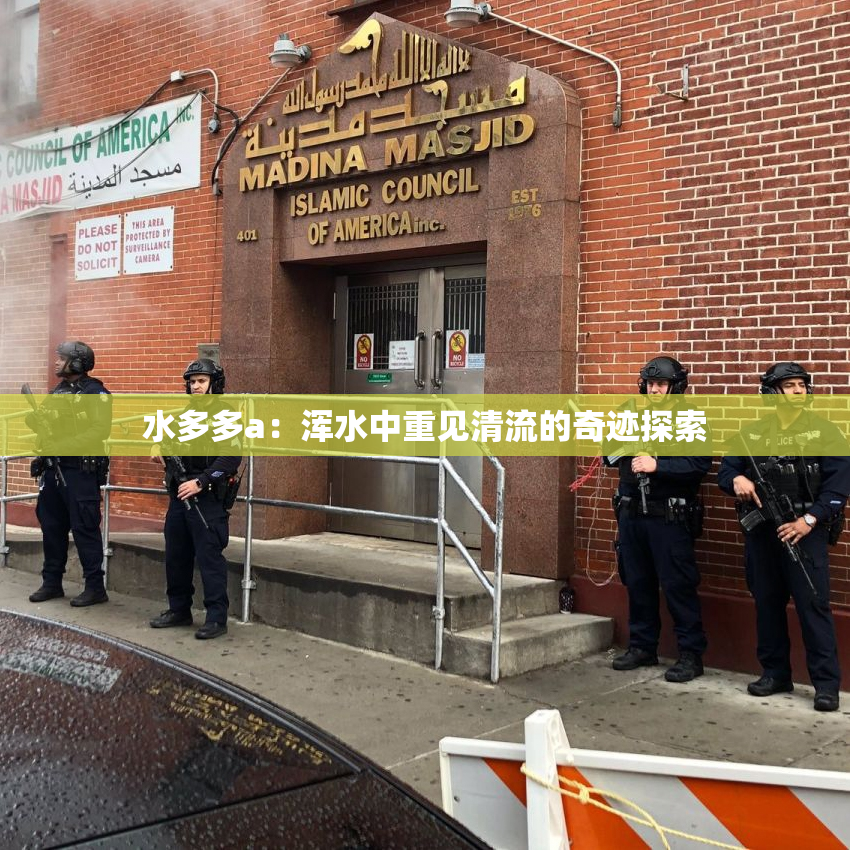 水多多a：浑水中重见清流的奇迹探索