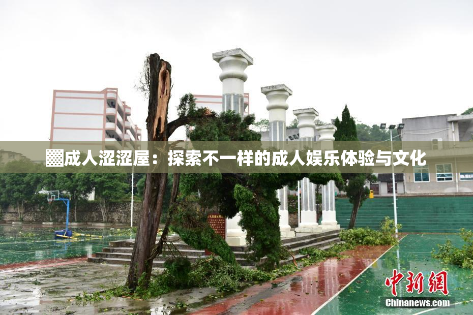 ▓成人涩涩屋：探索不一样的成人娱乐体验与文化