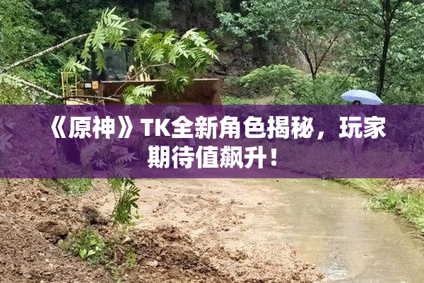 《原神》TK全新角色揭秘，玩家期待值飙升！