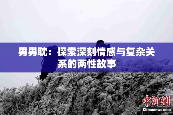 男男耽：探索深刻情感与复杂关系的两性故事