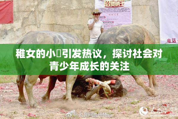 稚女的小泬引发热议，探讨社会对青少年成长的关注