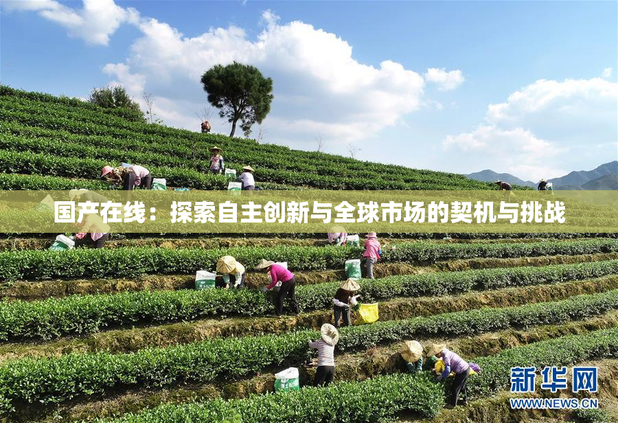 国产在线：探索自主创新与全球市场的契机与挑战