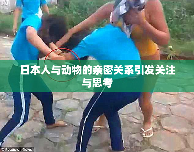 日本人与动物的亲密关系引发关注与思考