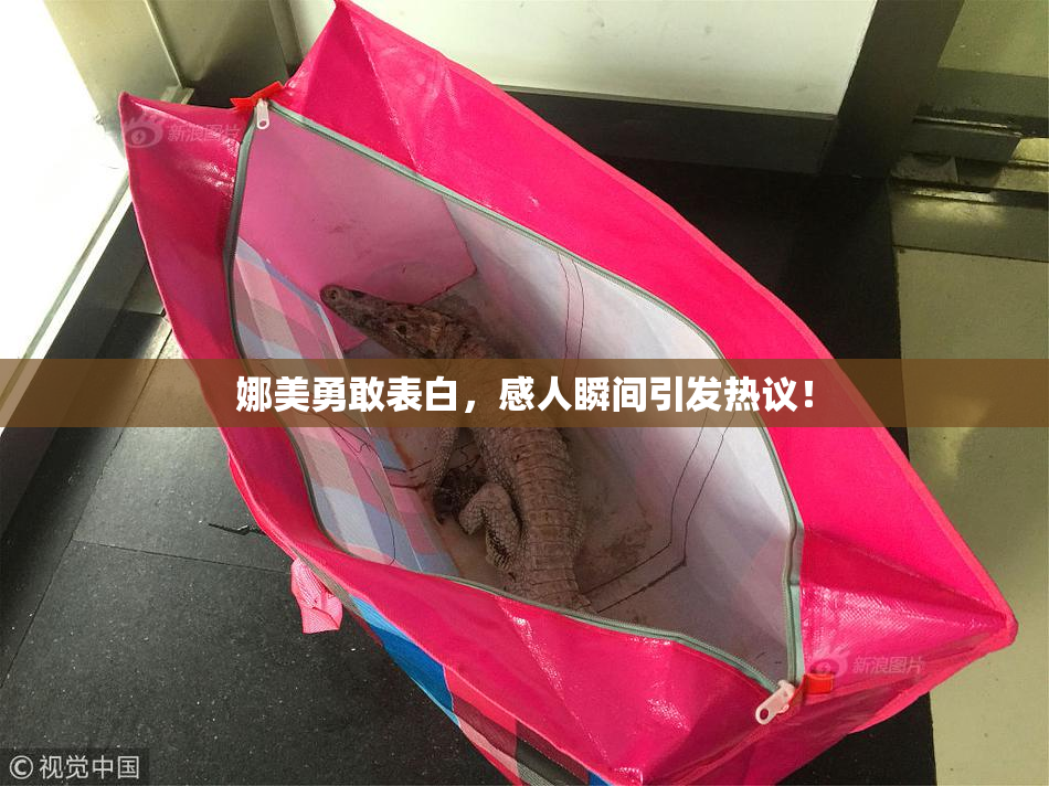 娜美勇敢表白，感人瞬间引发热议！