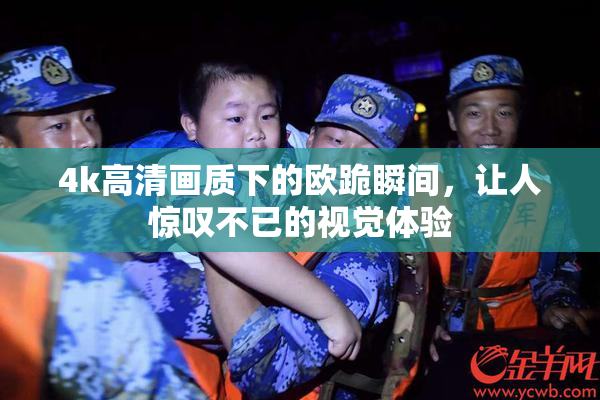 4k高清画质下的欧跪瞬间，让人惊叹不已的视觉体验