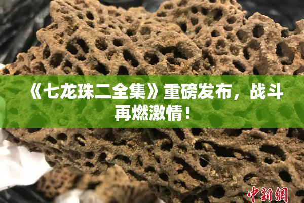 《七龙珠二全集》重磅发布，战斗再燃激情！