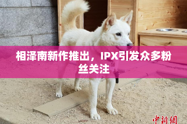 相泽南新作推出，IPX引发众多粉丝关注