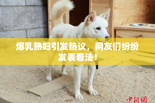 爆乳熟妇引发热议，网友们纷纷发表看法！