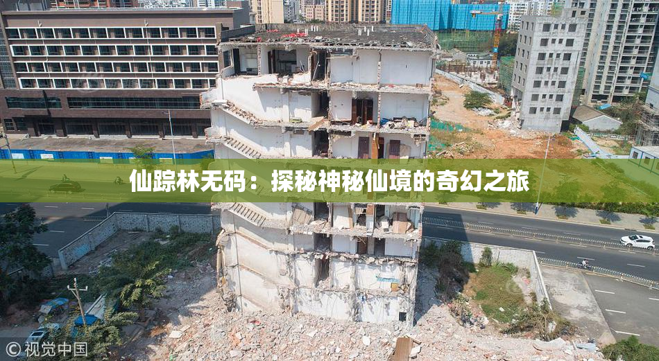 仙踪林无码：探秘神秘仙境的奇幻之旅