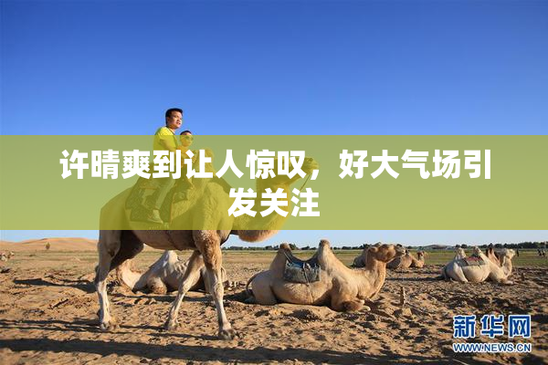 许晴爽到让人惊叹，好大气场引发关注