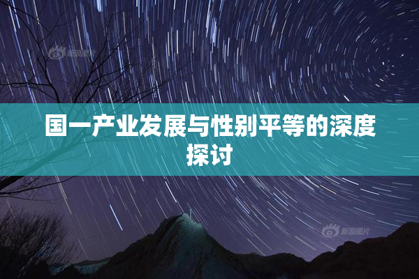 国一产业发展与性别平等的深度探讨
