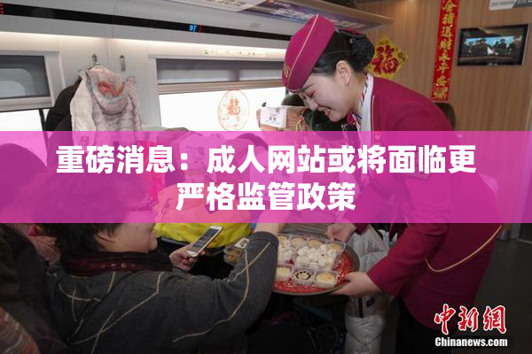 重磅消息：成人网站或将面临更严格监管政策