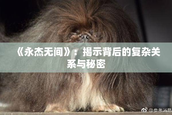 《永杰无间》：揭示背后的复杂关系与秘密