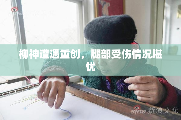 柳神遭遇重创，腿部受伤情况堪忧