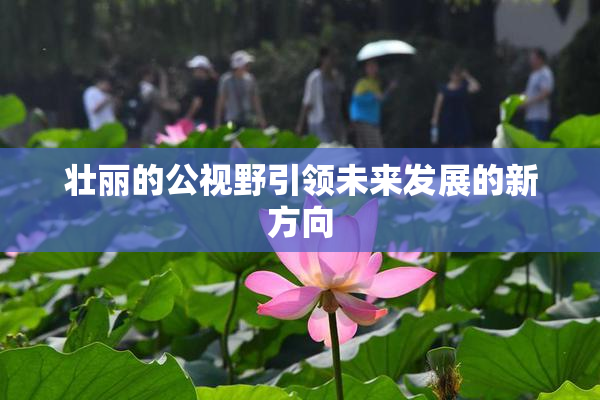 壮丽的公视野引领未来发展的新方向