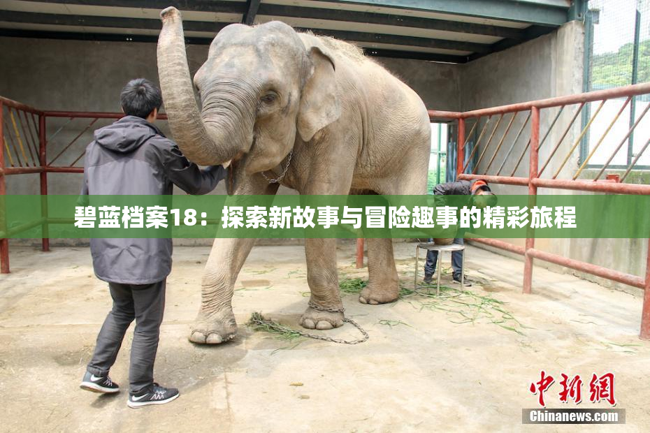碧蓝档案18：探索新故事与冒险趣事的精彩旅程