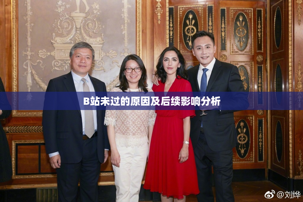 B站未过的原因及后续影响分析