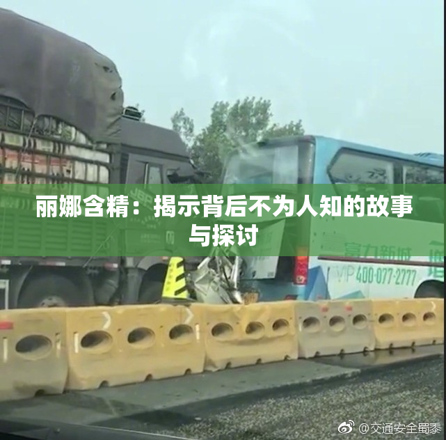 丽娜含精：揭示背后不为人知的故事与探讨