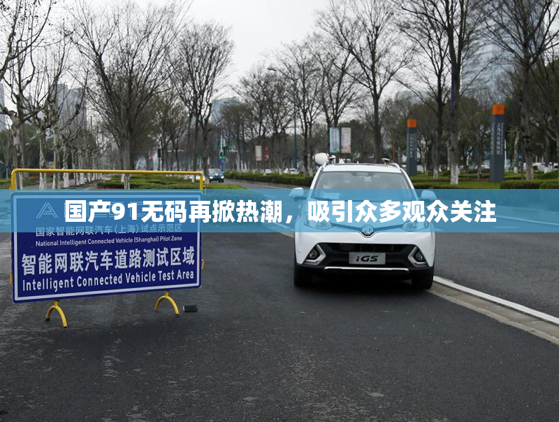 国产91无码再掀热潮，吸引众多观众关注