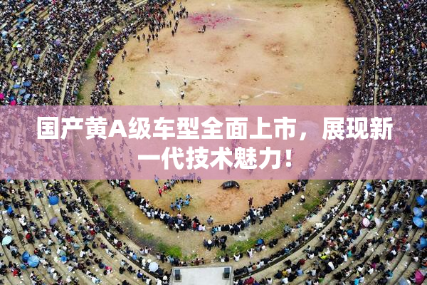 国产黄A级车型全面上市，展现新一代技术魅力！