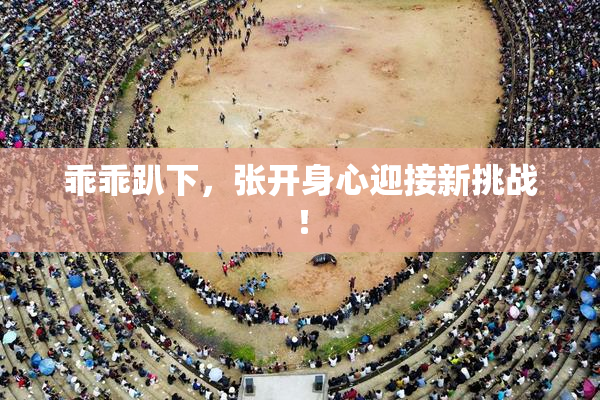 乖乖趴下，张开身心迎接新挑战！
