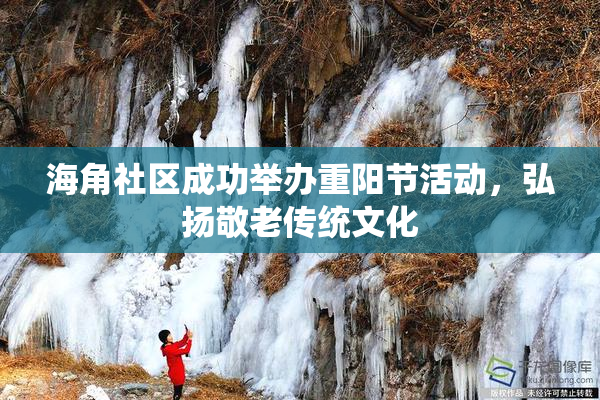 海角社区成功举办重阳节活动，弘扬敬老传统文化