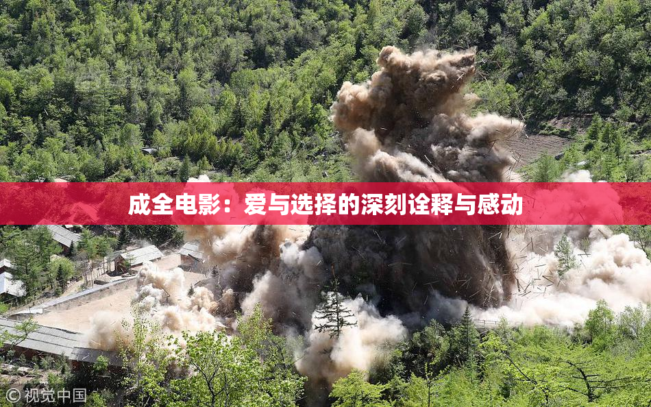 成全电影：爱与选择的深刻诠释与感动