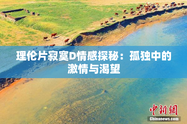 理伦片寂寞D情感探秘：孤独中的激情与渴望