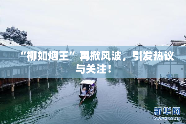 “柳如烟王”再掀风波，引发热议与关注！