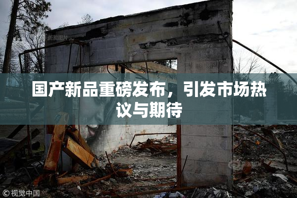 国产新品重磅发布，引发市场热议与期待