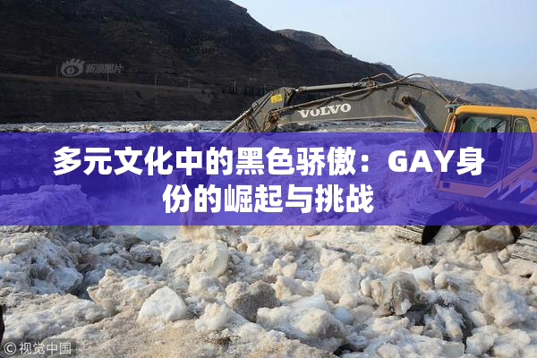 多元文化中的黑色骄傲：GAY身份的崛起与挑战
