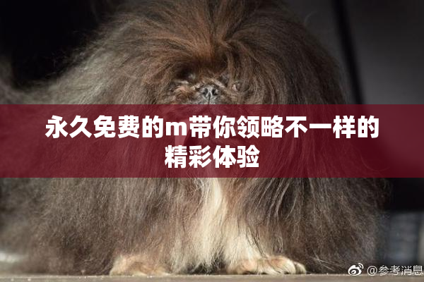 永久免费的m带你领略不一样的精彩体验