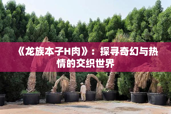 《龙族本子H肉》：探寻奇幻与热情的交织世界