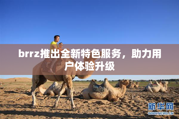 brrz推出全新特色服务，助力用户体验升级