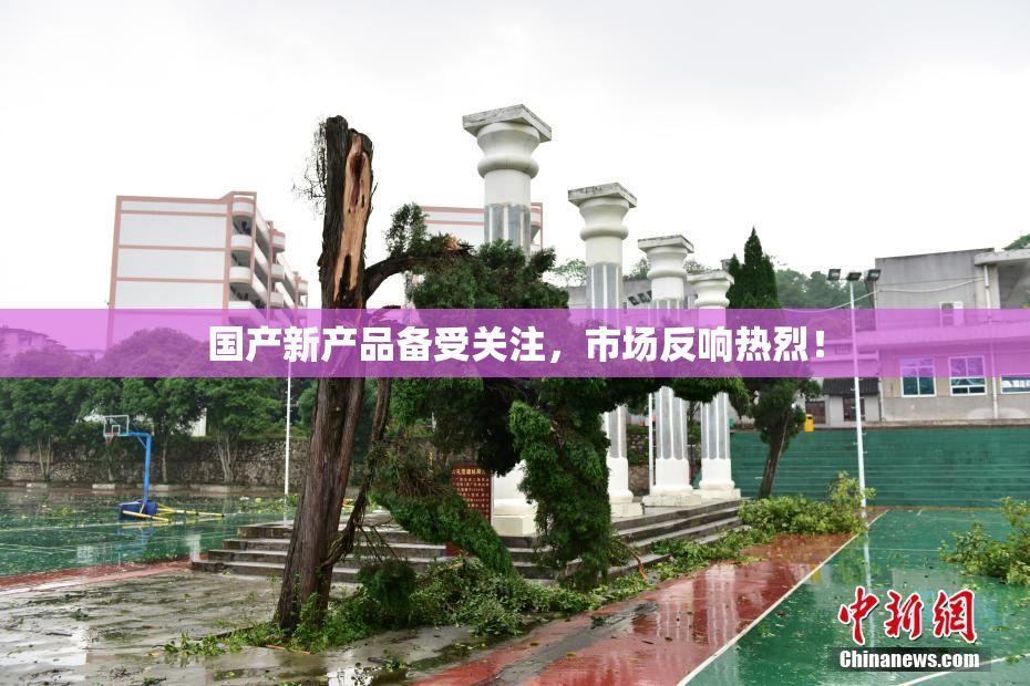 国产新产品备受关注，市场反响热烈！