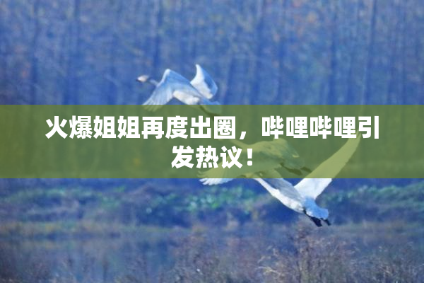 火爆姐姐再度出圈，哔哩哔哩引发热议！
