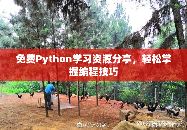 免费Python学习资源分享，轻松掌握编程技巧