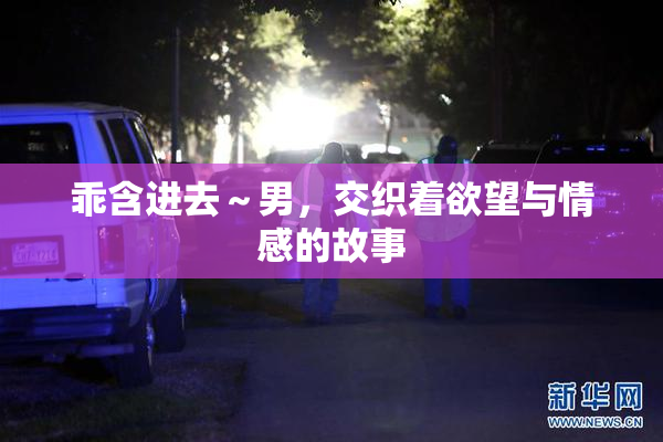 乖含进去～男，交织着欲望与情感的故事