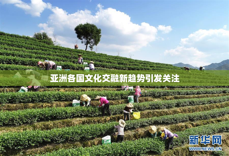 亚洲各国文化交融新趋势引发关注
