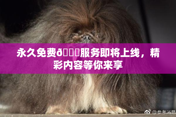永久免费🔞服务即将上线，精彩内容等你来享
