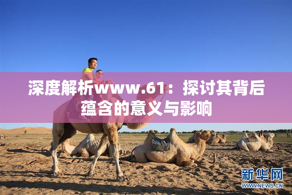 深度解析www.61：探讨其背后蕴含的意义与影响